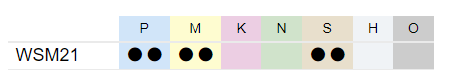 WSM21_P_M_S_matiere.png