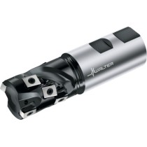 Fraise hérisson tangentielle F5038.W32.032.Z02.40